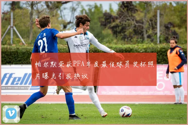 帕尔默荣获PFA年度最佳球员奖杯照片曝光引发热议
