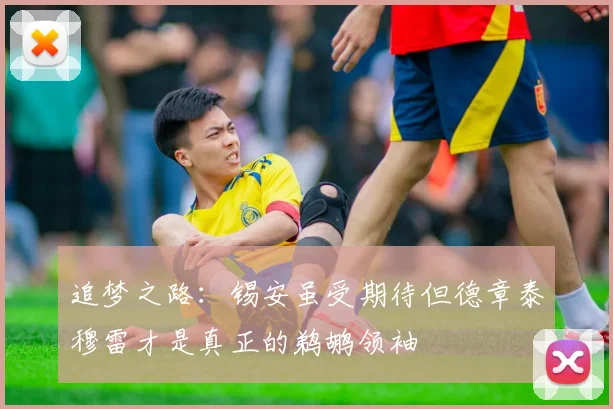 追梦之路：锡安虽受期待但德章泰穆雷才是真正的鹈鹕领袖