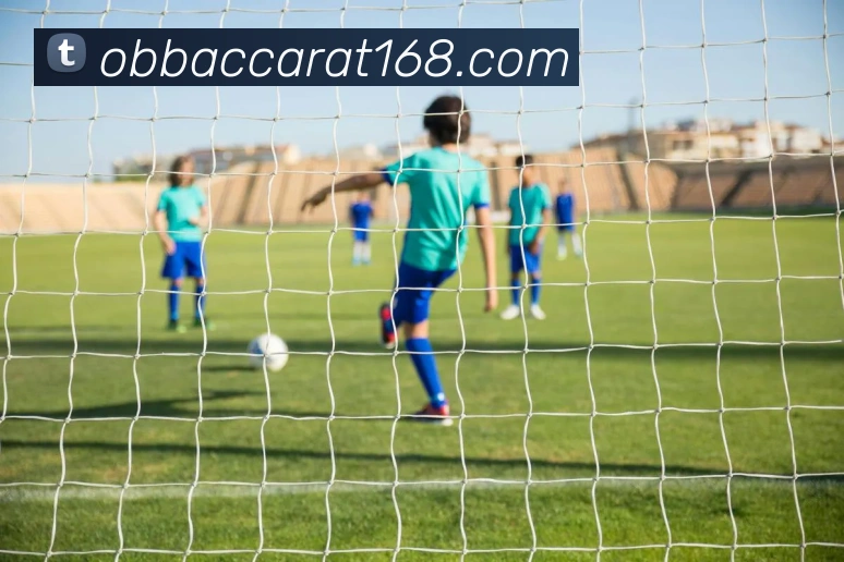 欧博视讯平台生态图