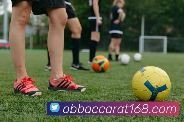 欧博视讯APP 封面图